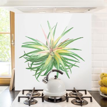 Panel szklany do kuchni - Akwarela z roślinami powietrznymi III