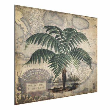 Obraz Alu-Dibond - Kolaż w stylu vintage - drzewo palmowe i mapa świata