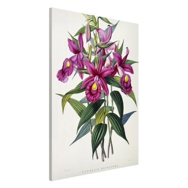 Tablica magnetyczna - Maxim Gauci - Orchidea I
