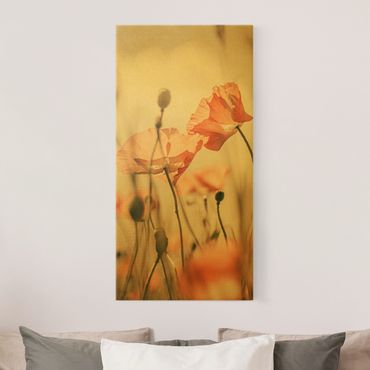 Złoty obraz na płótnie - Kwiaty maku na letnim wietrze
