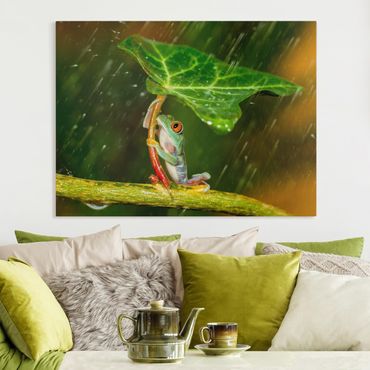 Obraz na płótnie - Żaba w deszczu