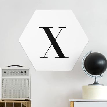 Obraz heksagonalny z Forex - Biała litera Szeryf X