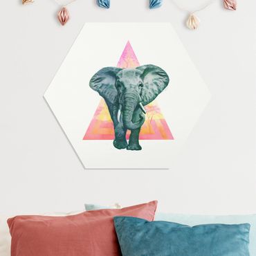Obraz heksagonalny z Forex - Ilustracja przedstawiająca słonia na tle trójkątnego obrazu