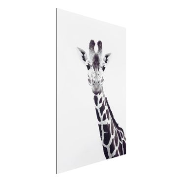 Obraz Alu-Dibond - Portret żyrafy w czerni i bieli