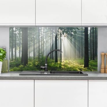 Panel szklany do kuchni - Świetlany las