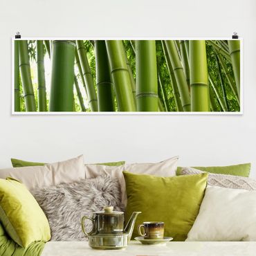 Plakat - Drzewa bambusowe