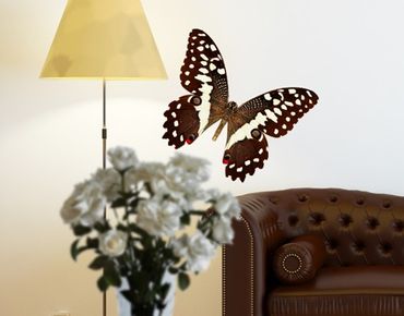 Naklejka na ścianę - Nr 447 Szlachetny motyl w odcieniach ziemi