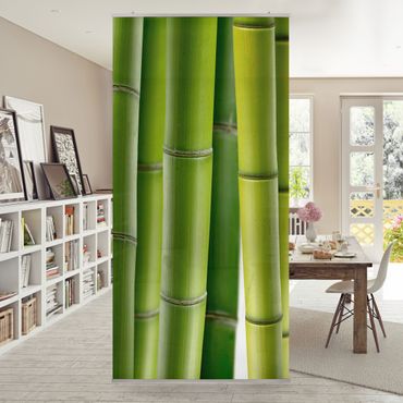 Parawan pokojowy - Rośliny bambusowe