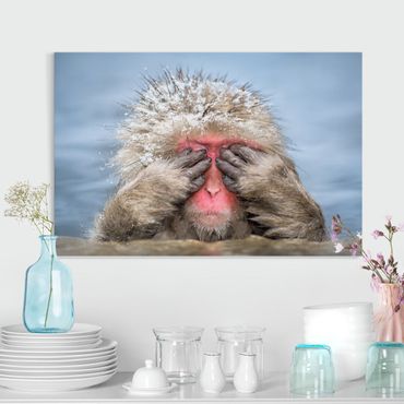 Obraz na płótnie - Japońska małpa śnieżna
