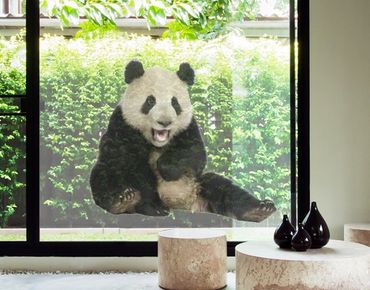 Folia okienna - Śmiejąca się panda