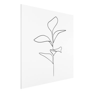 Obraz Forex - Line Art Liście roślin Czarne Białe