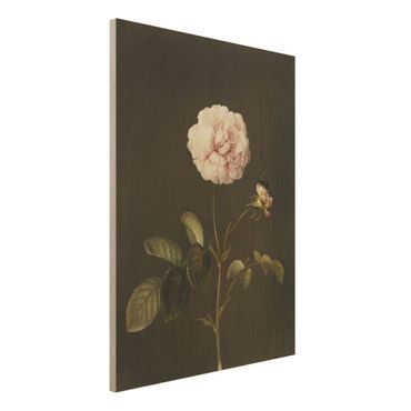 Obraz z drewna - Barbara Regina Dietzsch - Róża octowa z trzmielem