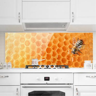 Panel szklany do kuchni - Pszczoła miodna