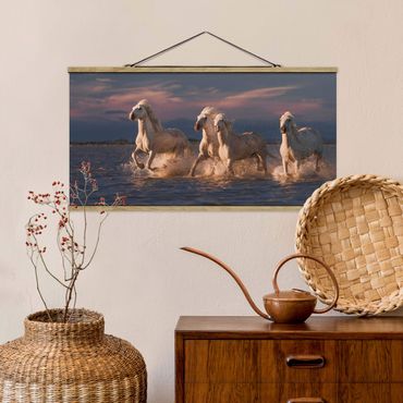 Plakat z wieszakiem - Dzikie konie w Camargue