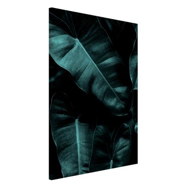 Tablica magnetyczna - Liście dżungli ciemnozielone