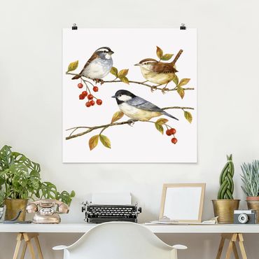 Plakat - Ptaki i jagody - sikorki