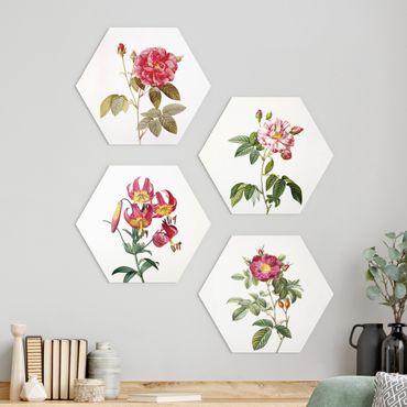 Obraz heksagonalny z Forex 4-częściowy - Pierre Joseph Redouté - Róże i lilie