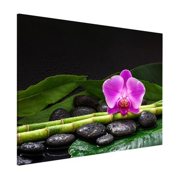 Tablica magnetyczna - Zielony bambus z kwiatem orchidei