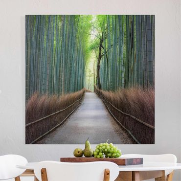 Obraz na płótnie - Ścieżka przez bambus