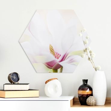 Obraz heksagonalny z Forex - Czuły kwiat magnolii