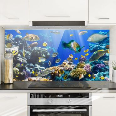 Panel szklany do kuchni - Refa podwodna