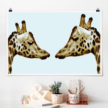 Plakat - Zakochane żyrafy