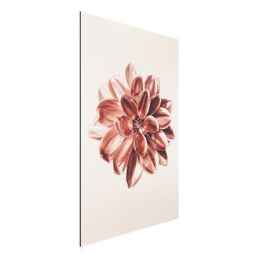 Obraz Alu-Dibond - Dahlia Rose Złoto Metallic Pink