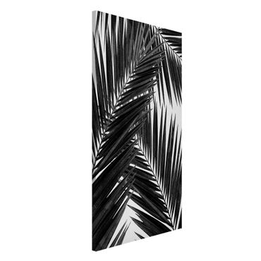 Tablica magnetyczna - Widok na liście palmy, czarno-biały