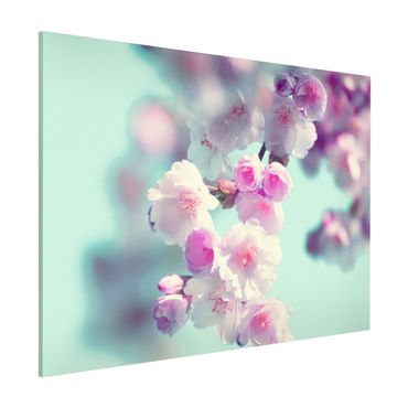 Tablica magnetyczna - Kolorowe kwiaty wiśni