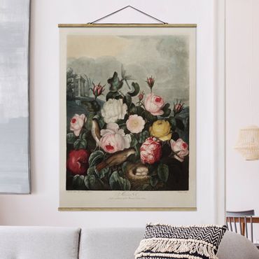 Plakat z wieszakiem - Botanika Vintage Ilustracja róż