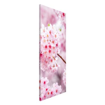 Tablica magnetyczna - Japońskie kwiaty wiśni