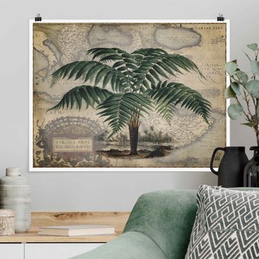 Plakat - Kolaż w stylu vintage - drzewo palmowe i mapa świata