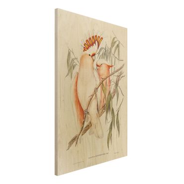 Obraz z drewna - Ilustracja w stylu vintage różowy kakadu