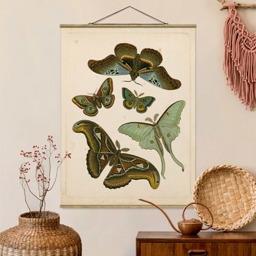Plakat z wieszakiem - Ilustracja w stylu vintage Motyle egzotyczne II