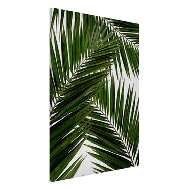 Tablica magnetyczna - Widok przez zielone liście palmy