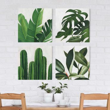 Obraz na płótnie 4-częściowy - Favourite Plants Tropical Set I