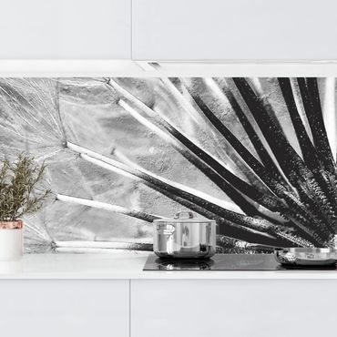 Panel ścienny do kuchni - Dandelion czarno-biały