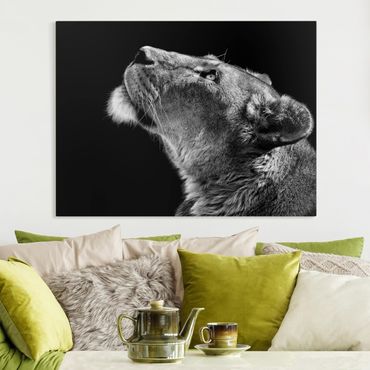 Obraz na płótnie - Portret lwicy