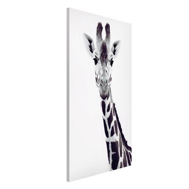Tablica magnetyczna - Portret żyrafy w czerni i bieli