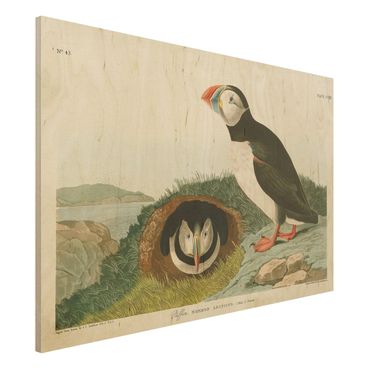Obraz z drewna - Tablica edukacyjna w stylu vintage Puffin