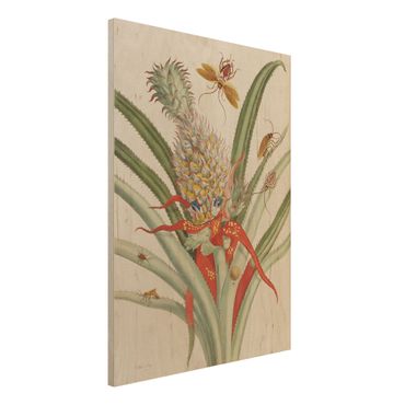 Obraz z drewna - Anna Maria Sibylla Merian - Ananas z owadami