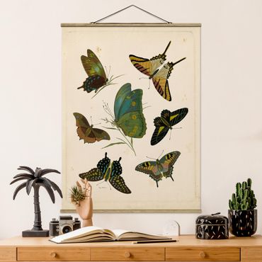 Plakat z wieszakiem - Ilustracja w stylu vintage Motyle egzotyczne