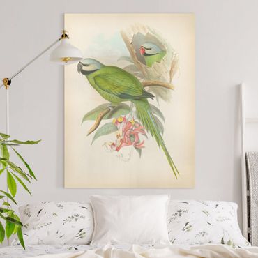 Obraz na płótnie - Ilustracja w stylu vintage Ptaki tropikalne II