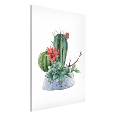 Tablica magnetyczna - Akwarela Ilustracja kaktusów