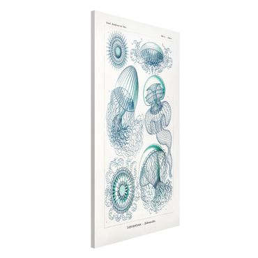 Tablica magnetyczna - Tablica edukacyjna w stylu vintage Meduza w kolorze niebieskim