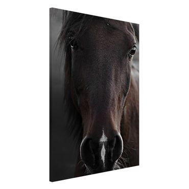 Tablica magnetyczna - Czarny koń