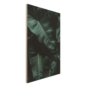 Obraz z drewna - Liście dżungli ciemnozielone
