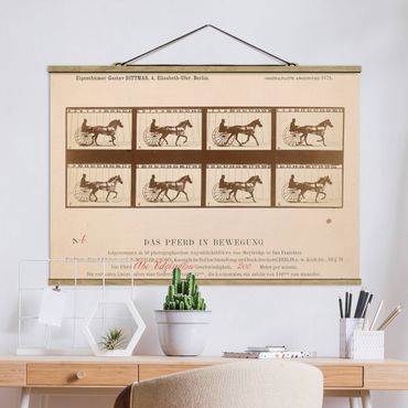 Plakat z wieszakiem - Eadweard Muybridge - Koń w ruchu