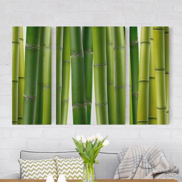 Obraz na płótnie 3-częściowy - Rośliny bambusowe