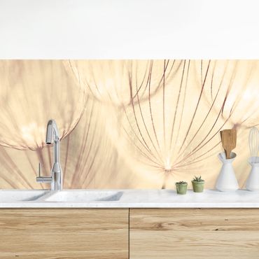 Panel ścienny do kuchni - Zbliżenie na mniszki lekarskie w domowym zaciszu w tonacji sepii